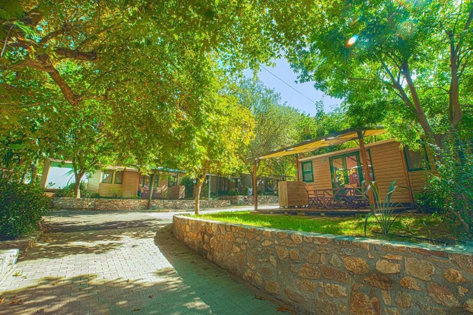 Armenistis Camping & Bungalows Sarti Eksteriør billede